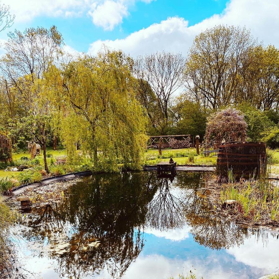 Reijgershof Bed & Breakfast Amsterdam Bagian luar foto