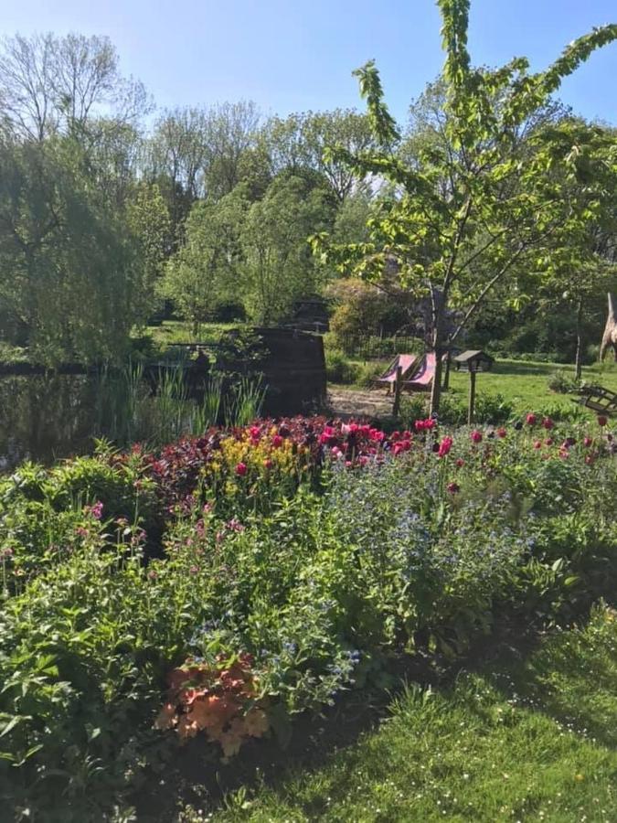Reijgershof Bed & Breakfast Amsterdam Bagian luar foto