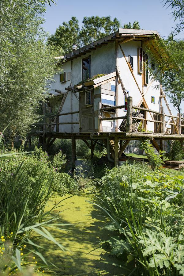 Reijgershof Bed & Breakfast Amsterdam Bagian luar foto